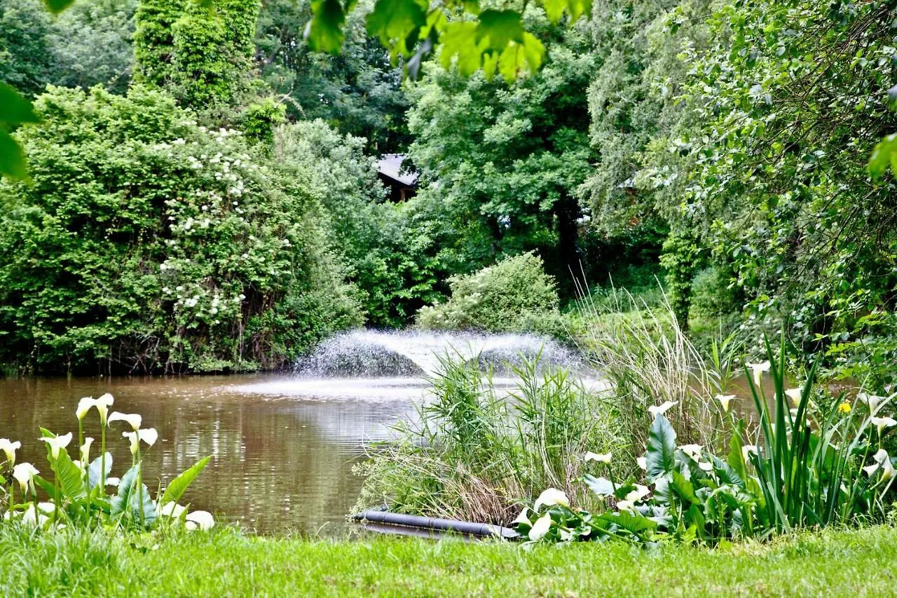Willow Lodge, South View Lodges, Exeter United Kingdom